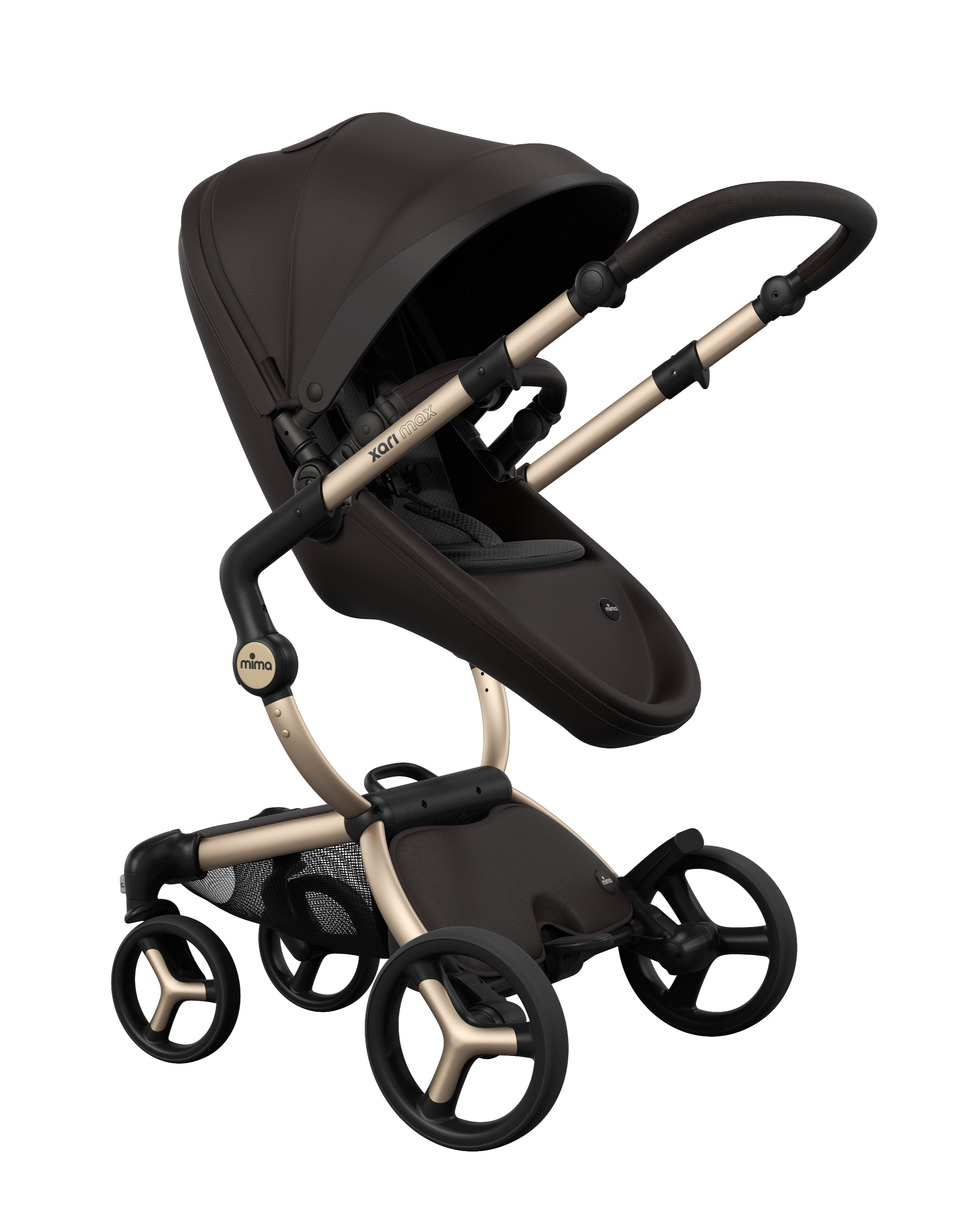 Champagne - Chocolate Brown - Black