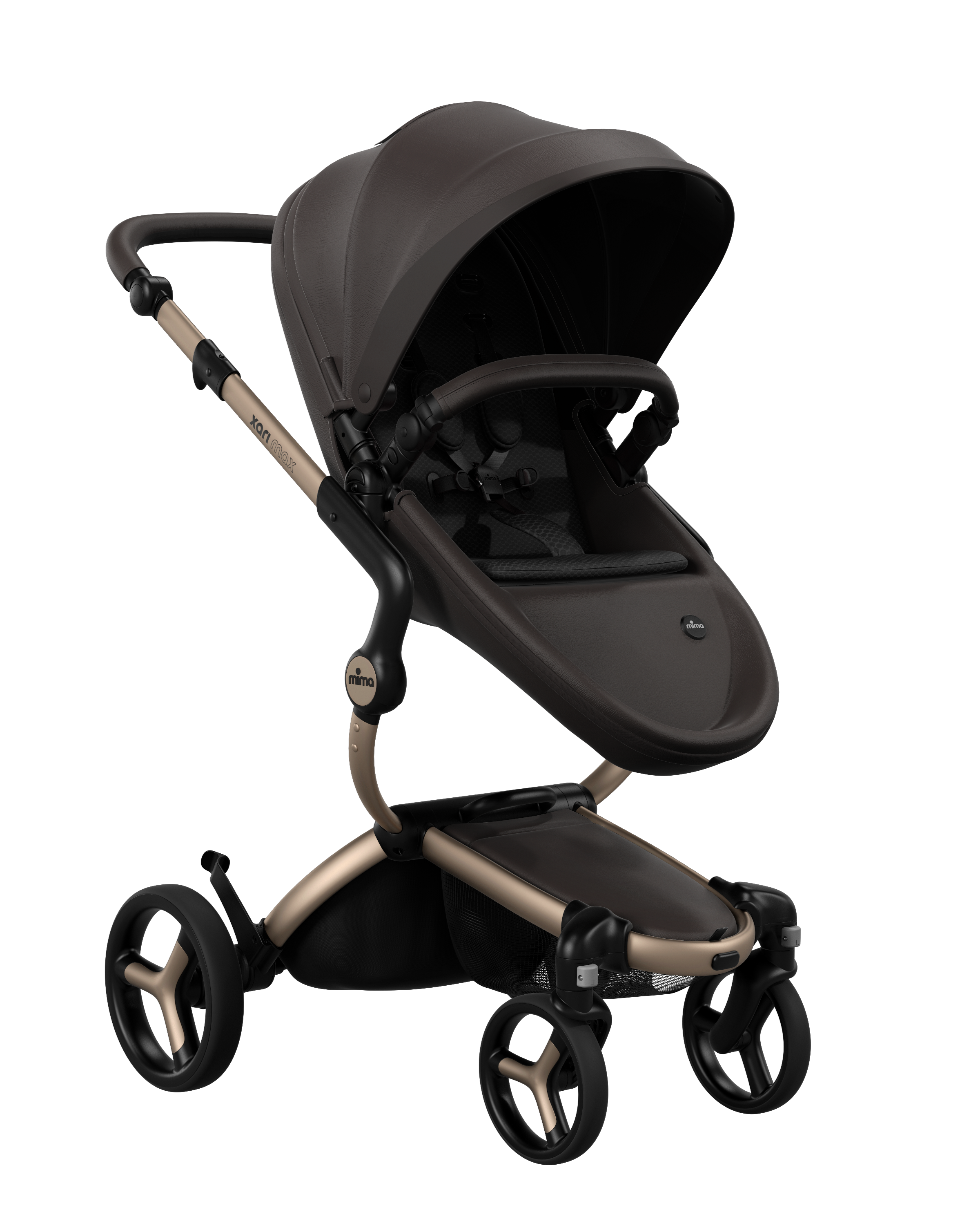 Champagne - Chocolate Brown - Black