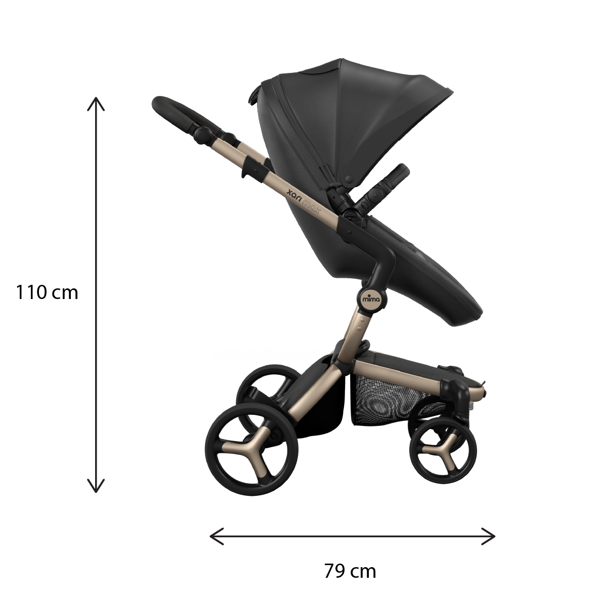 Champagne - Black - Black